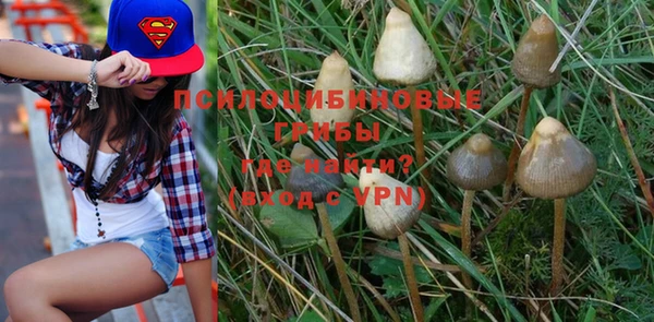 MESCALINE Карпинск