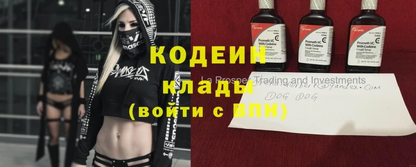 хмурый Касимов