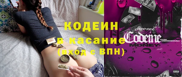 хмурый Касимов