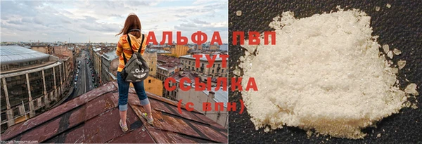 ПСИЛОЦИБИНОВЫЕ ГРИБЫ Карталы