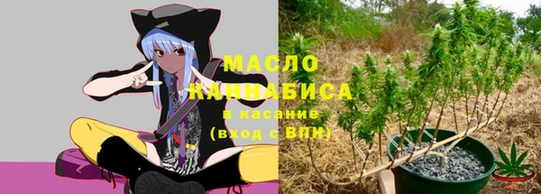 хмурый Касимов