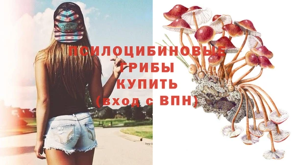 хмурый Касимов