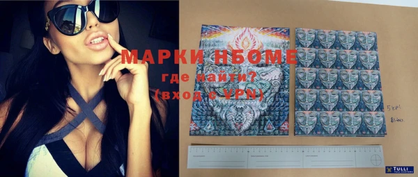 хмурый Касимов