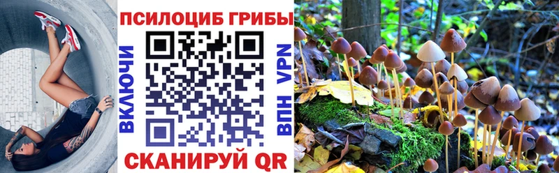 Псилоцибиновые грибы GOLDEN TEACHER  Купить где  Ленинск 