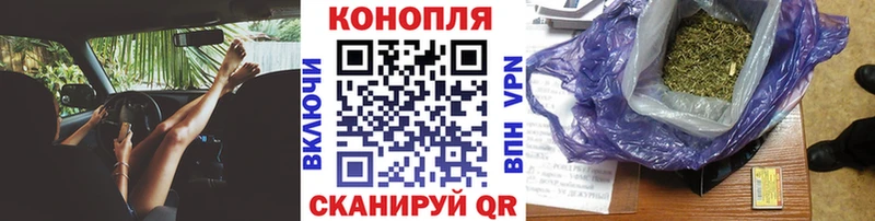 Купить Ленинск Канабис OG Kush